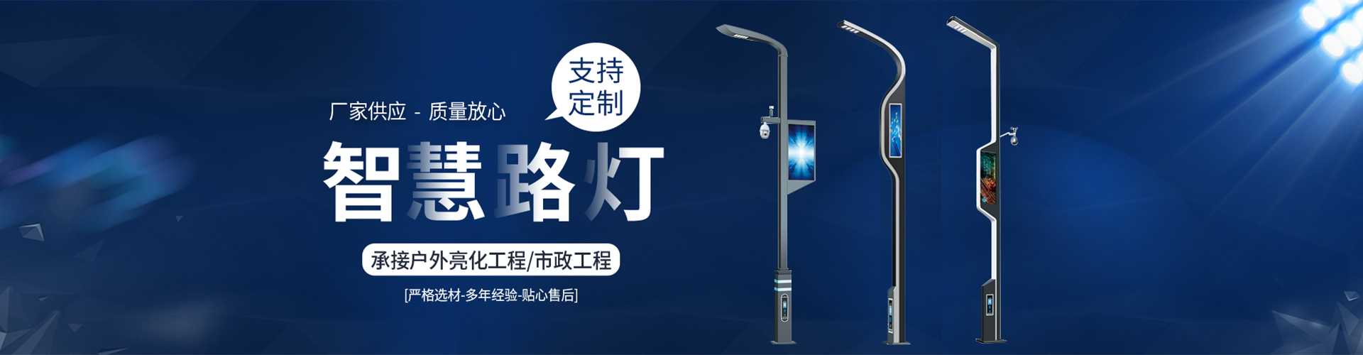 林芝市太阳能路灯定制厂家