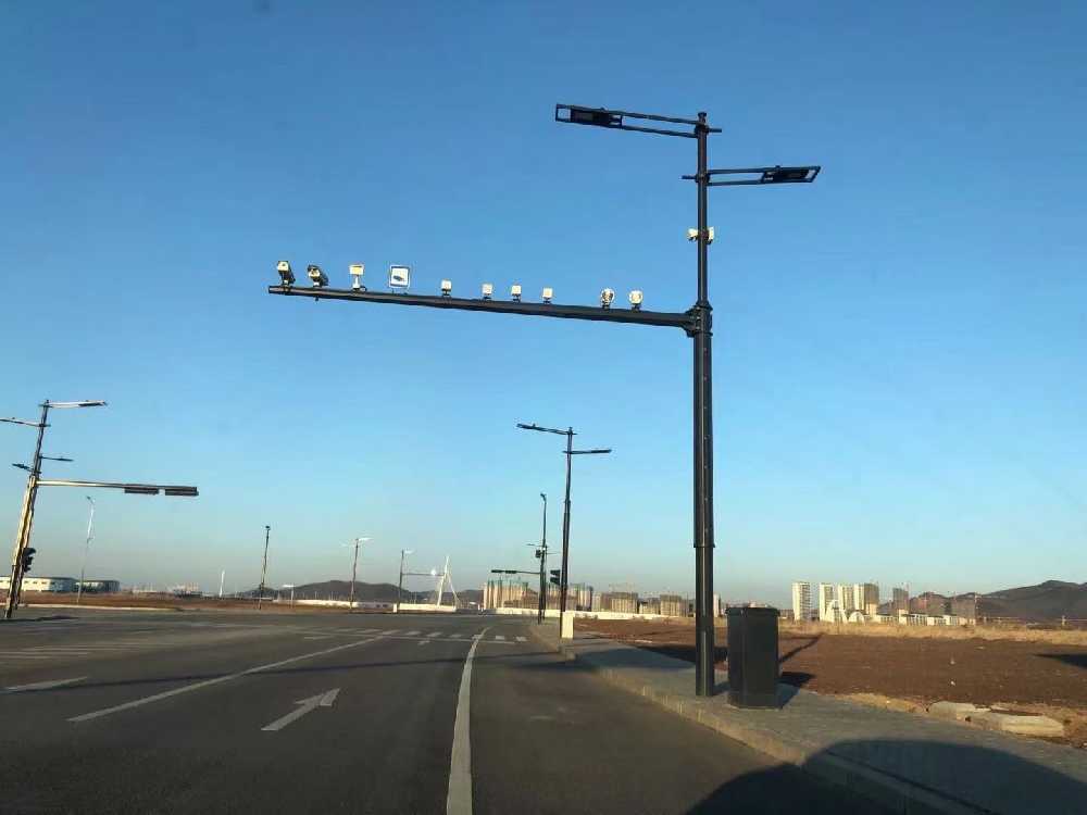 林芝市黑龙江佳木斯综合路灯杆项目