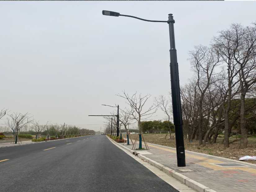 林芝市上海综合杆 太阳能路灯工程